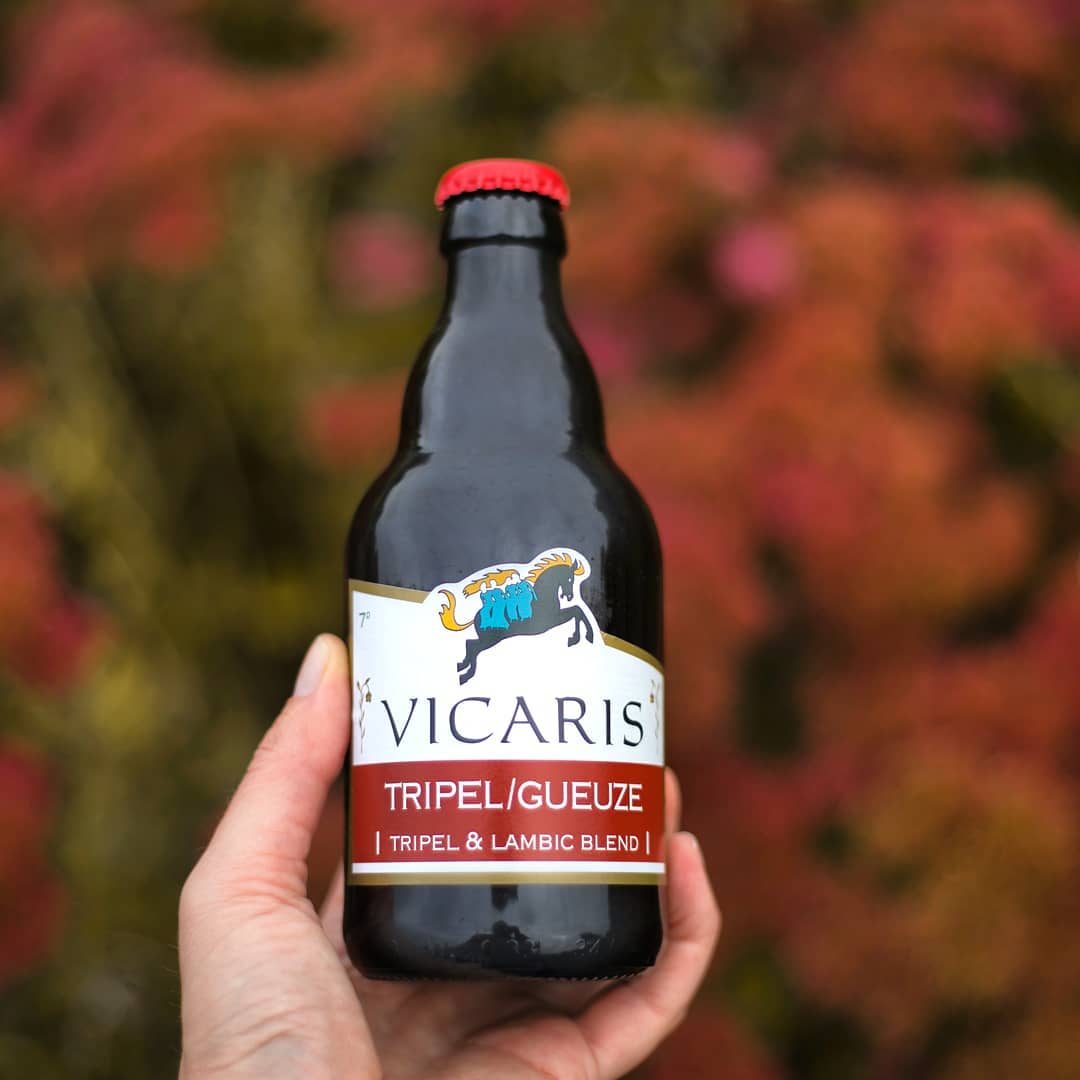 ｳﾞｨｶﾘｽﾄﾘﾌﾟﾙｸﾞｰｽﾞ 330ml | すがや魅惑の麦酒